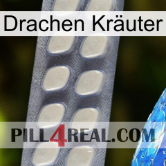 Drachen Kräuter 08